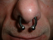 Septum