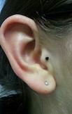 Tragus Piercing.