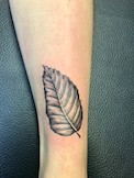 Herbststimmung, fineline blackwork Tattoo. 