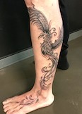 Phönix Tattoo auf dem Bein. Wenn bei Dir auch ein neues Tattoo auf der Wunschliste steht kannst Du gerne einen ersten Beratungstermin mit Thomas unter 0221 - 240 77 65 vereinbaren.